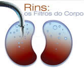 Nefrologia e Nefrologistas em Olinda